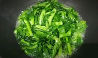 上海青的做法 上海青怎么做