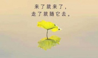 看淡一切释然的说说短句 尽显人生大智慧的句子分享