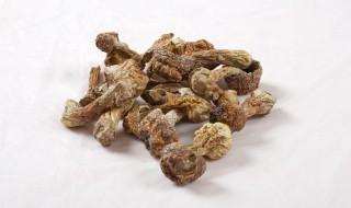 冷冻松茸保存方法 怎么冷冻保存松茸