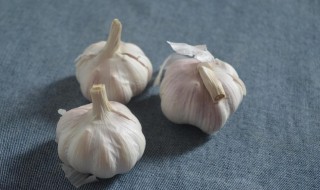 去蒜皮的妙招 怎么去蒜皮