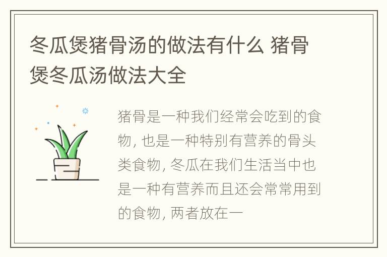 冬瓜煲猪骨汤的做法有什么 猪骨煲冬瓜汤做法大全
