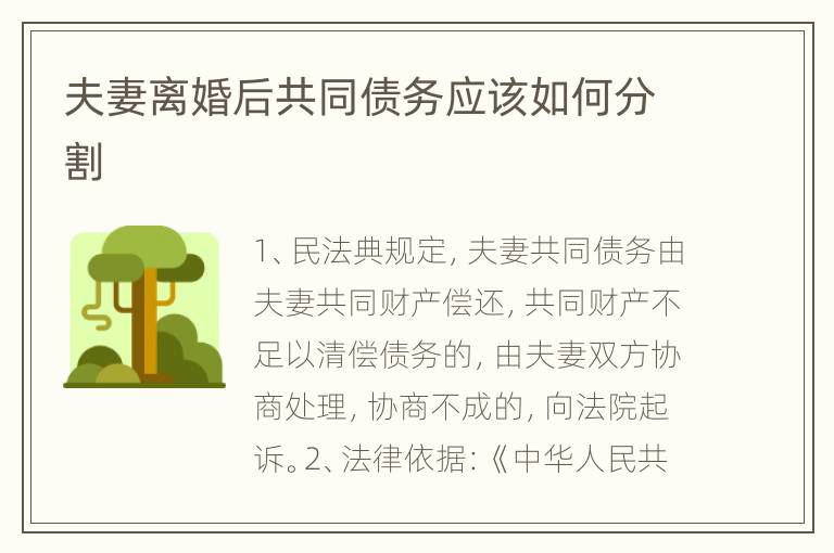 夫妻离婚后共同债务应该如何分割