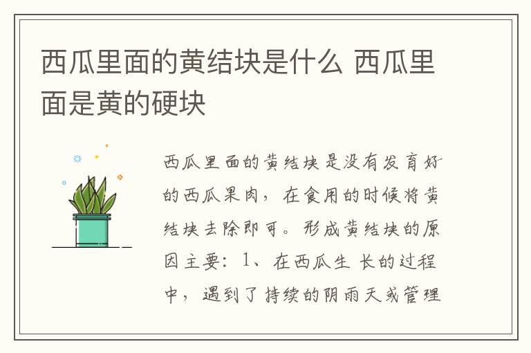 西瓜里面的黄结块是什么 西瓜里面是黄的硬块