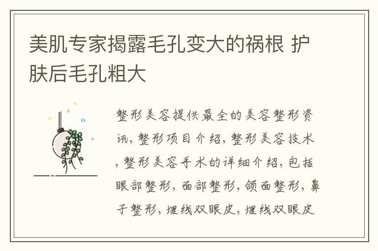 美肌专家揭露毛孔变大的祸根 护肤后毛孔粗大