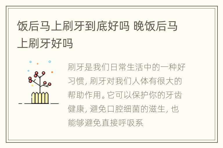饭后马上刷牙到底好吗 晚饭后马上刷牙好吗