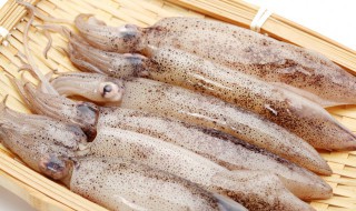 干煸鱿鱼的正确方法 干煸鱿鱼须怎么做