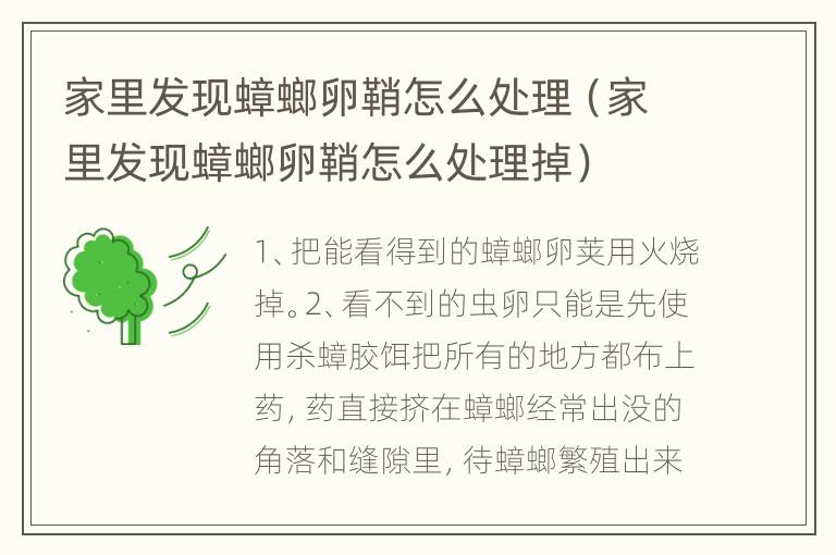家里发现蟑螂卵鞘怎么处理（家里发现蟑螂卵鞘怎么处理掉）