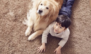 女不养狗男不养猫是什么意思 女不养狗男不养猫的意思
