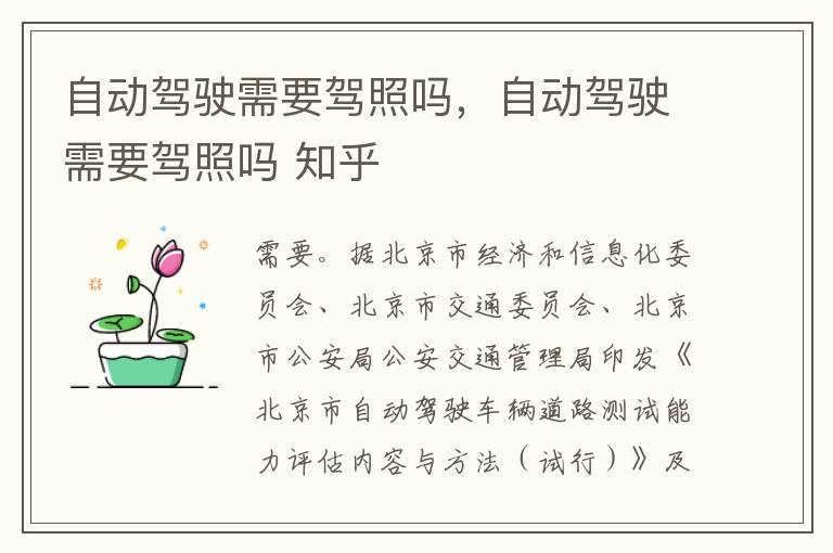 自动驾驶需要驾照吗，自动驾驶需要驾照吗 知乎