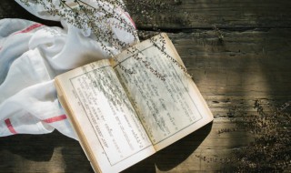 李清照的一生 李清照的简介