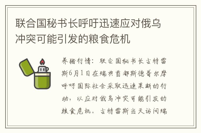 联合国秘书长呼吁迅速应对俄乌冲突可能引发的粮食危机