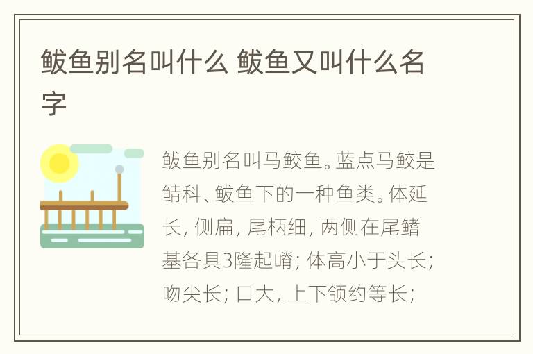 鲅鱼别名叫什么 鲅鱼又叫什么名字
