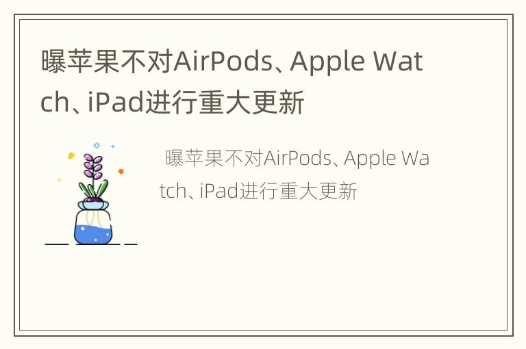 曝苹果不对AirPods、Apple Watch、iPad进行重大更新