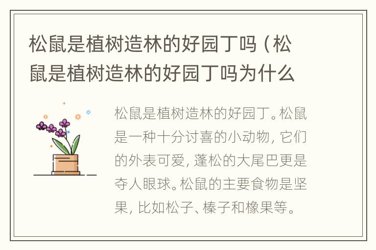 松鼠是植树造林的好园丁吗（松鼠是植树造林的好园丁吗为什么）