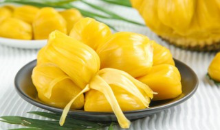 菠萝蜜冷冻后还能吃吗 可以冷冻多少天
