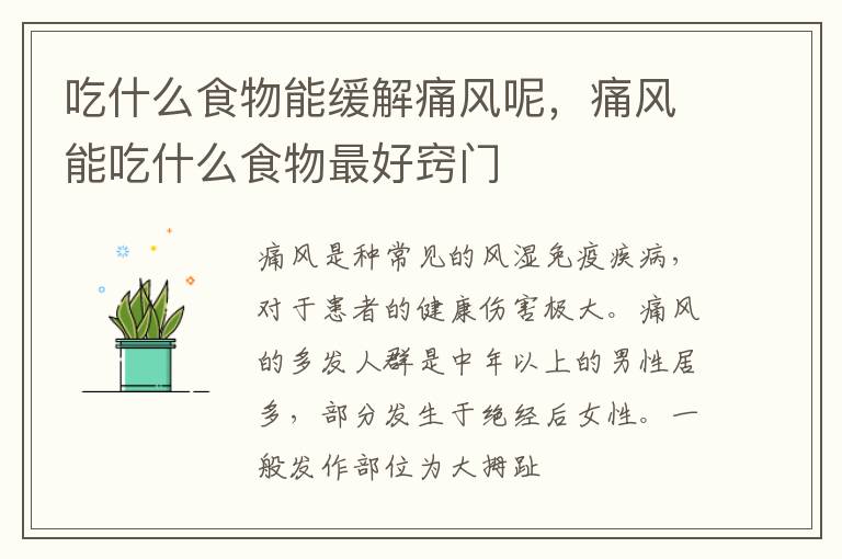 吃什么食物能缓解痛风呢，痛风能吃什么食物最好窍门