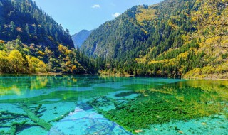 九寨沟什么季节去最好 什么时候去九寨沟好