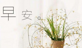 早上好问候语防暑 早上好的问候语