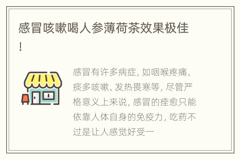 感冒咳嗽喝人参薄荷茶效果极佳！