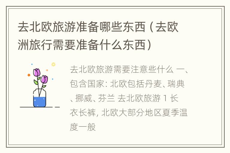 去北欧旅游准备哪些东西（去欧洲旅行需要准备什么东西）