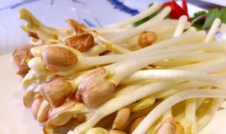 煮熟的花生芽隔夜能吃吗 煮熟的花生芽隔夜能不能吃