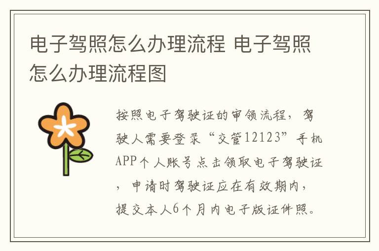 电子驾照怎么办理流程 电子驾照怎么办理流程图
