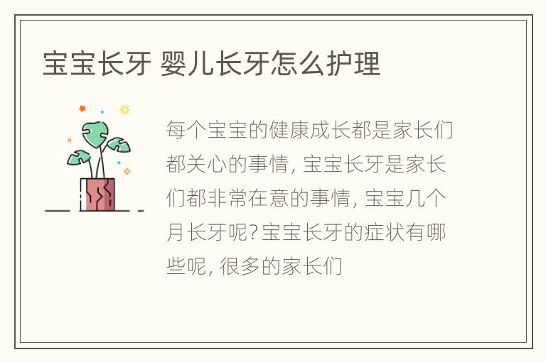 宝宝长牙 婴儿长牙怎么护理