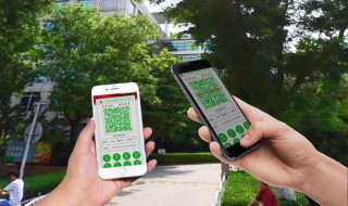 如何申请学生健康出行码 怎样申请学生健康出行码