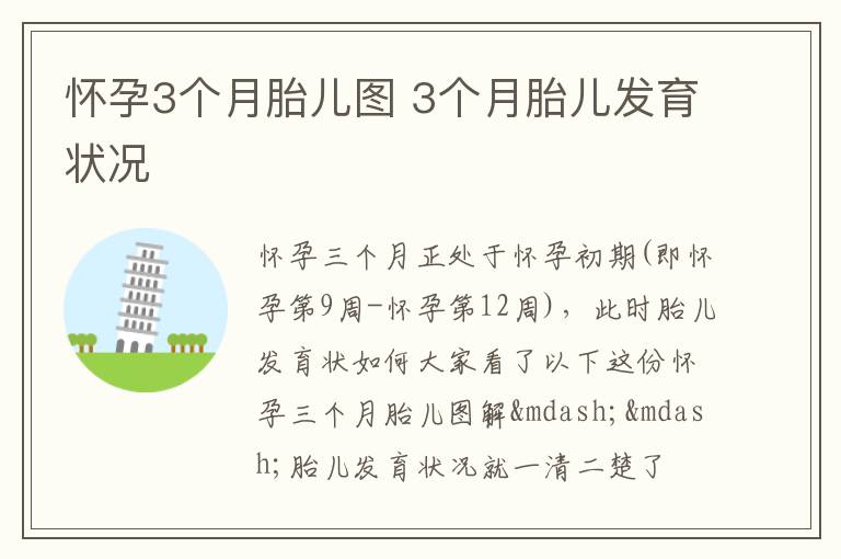 怀孕3个月胎儿图 3个月胎儿发育状况