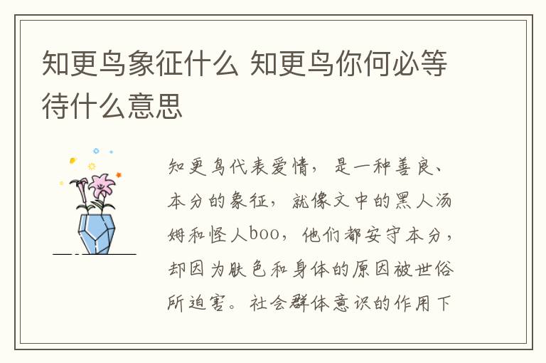 知更鸟象征什么 知更鸟你何必等待什么意思
