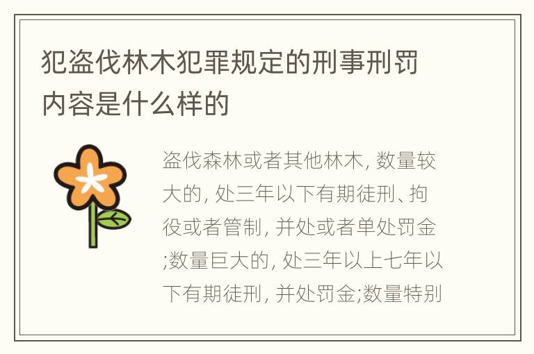 犯盗伐林木犯罪规定的刑事刑罚内容是什么样的