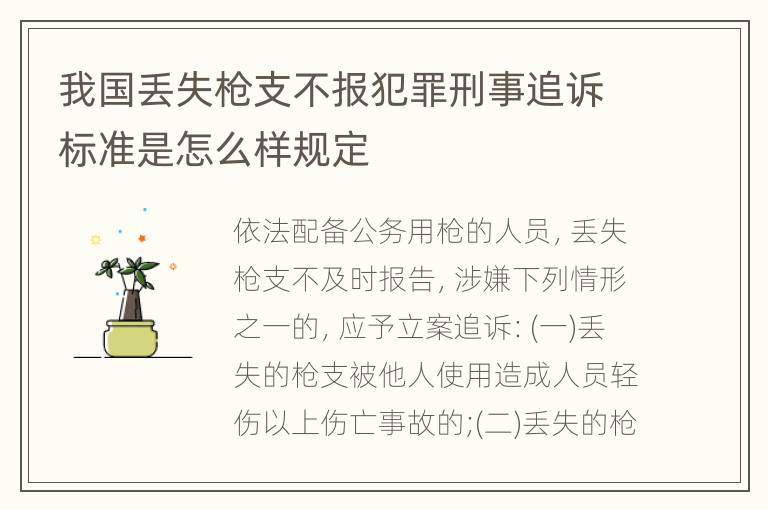 我国丢失枪支不报犯罪刑事追诉标准是怎么样规定