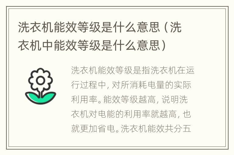 洗衣机能效等级是什么意思（洗衣机中能效等级是什么意思）