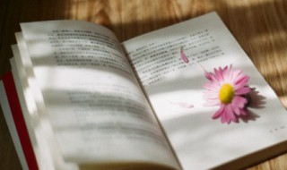 春天唯美简短句子 春天唯美说说短句