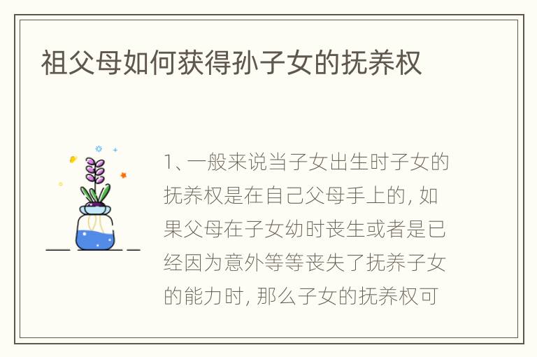 祖父母如何获得孙子女的抚养权