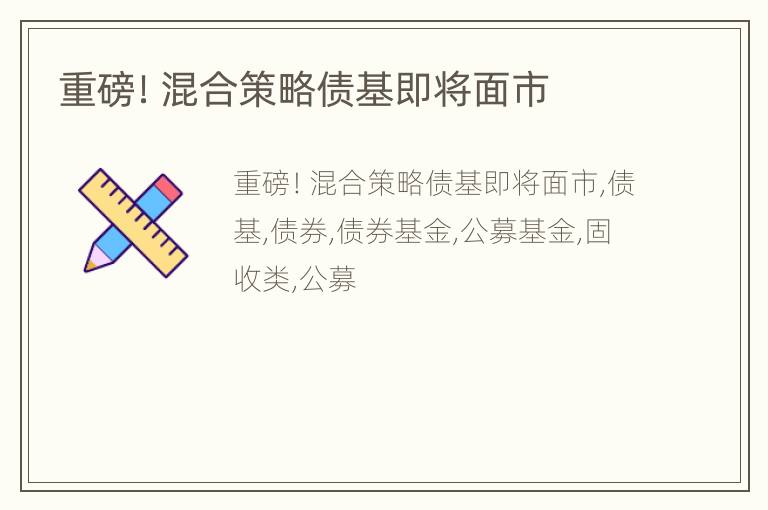 重磅！混合策略债基即将面市