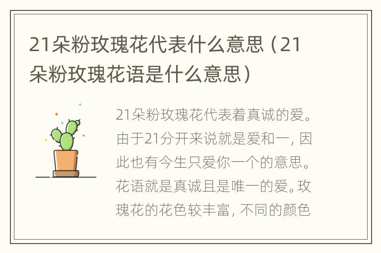 21朵粉玫瑰花代表什么意思（21朵粉玫瑰花语是什么意思）