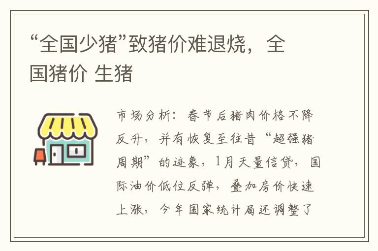 “全国少猪”致猪价难退烧，全国猪价 生猪