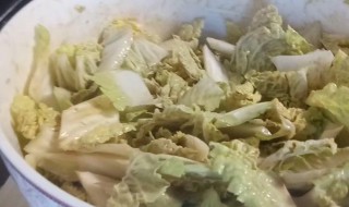 乾隆白菜起源 乾隆白菜起源介绍