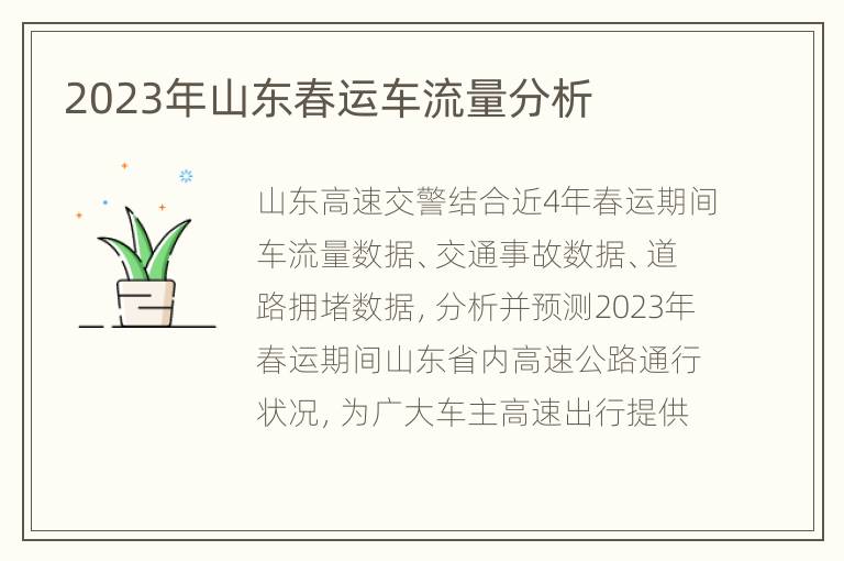 2023年山东春运车流量分析