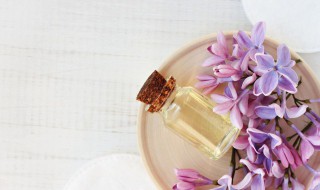 茶花精油使用方法 茶树精油怎样使用