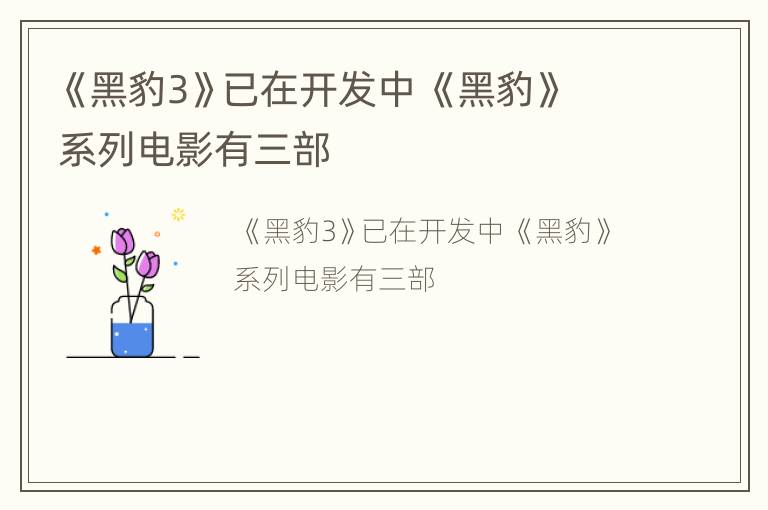 《黑豹3》已在开发中 《黑豹》系列电影有三部