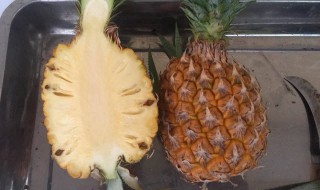 菠萝怎么放熟得快 怎么才能让菠萝快点熟
