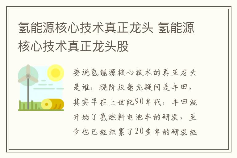 氢能源核心技术真正龙头 氢能源核心技术真正龙头股