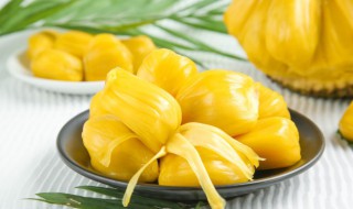 菠萝蜜核上的皮怎么吃 菠萝蜜核上的皮可不可以吃