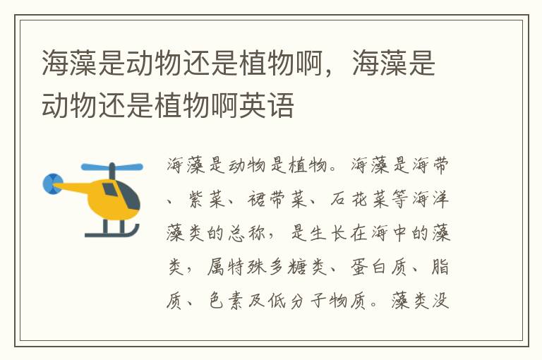 海藻是动物还是植物啊，海藻是动物还是植物啊英语