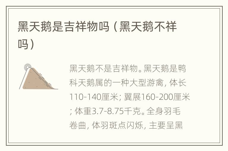 黑天鹅是吉祥物吗（黑天鹅不祥吗）
