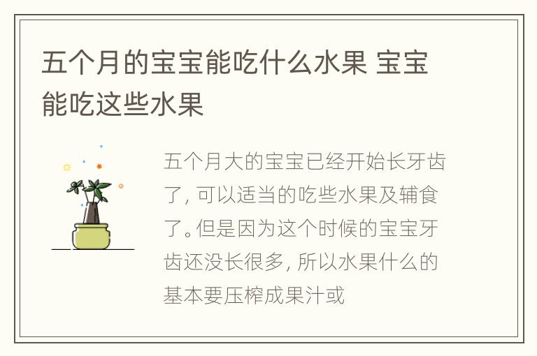 五个月的宝宝能吃什么水果 宝宝能吃这些水果