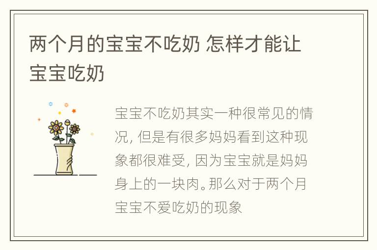 两个月的宝宝不吃奶 怎样才能让宝宝吃奶