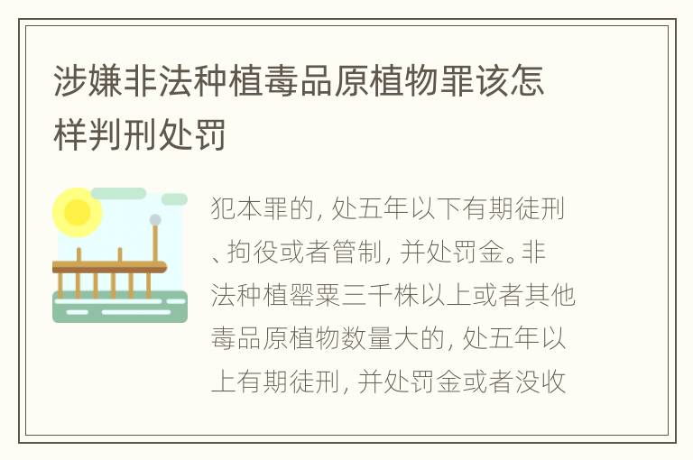 涉嫌非法种植毒品原植物罪该怎样判刑处罚